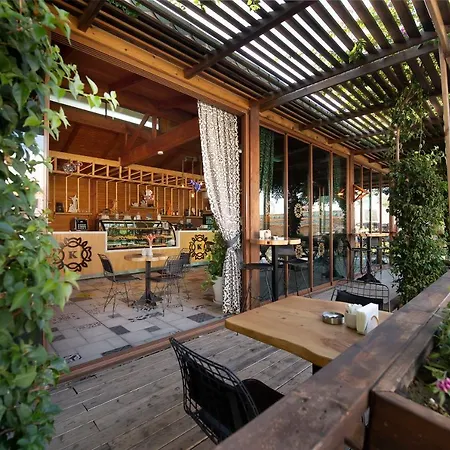 Kamelya Aishen Club & Aqua Ultra Kids Concept 5* 锡德